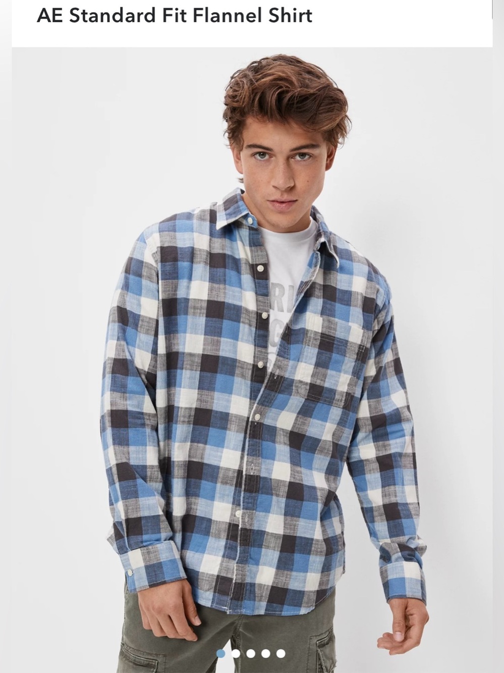 AE Standard Fit Men's Blue Plaid Flannel Shirt - Classic Check